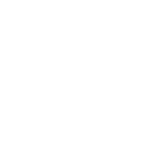 Quick Identification Icon